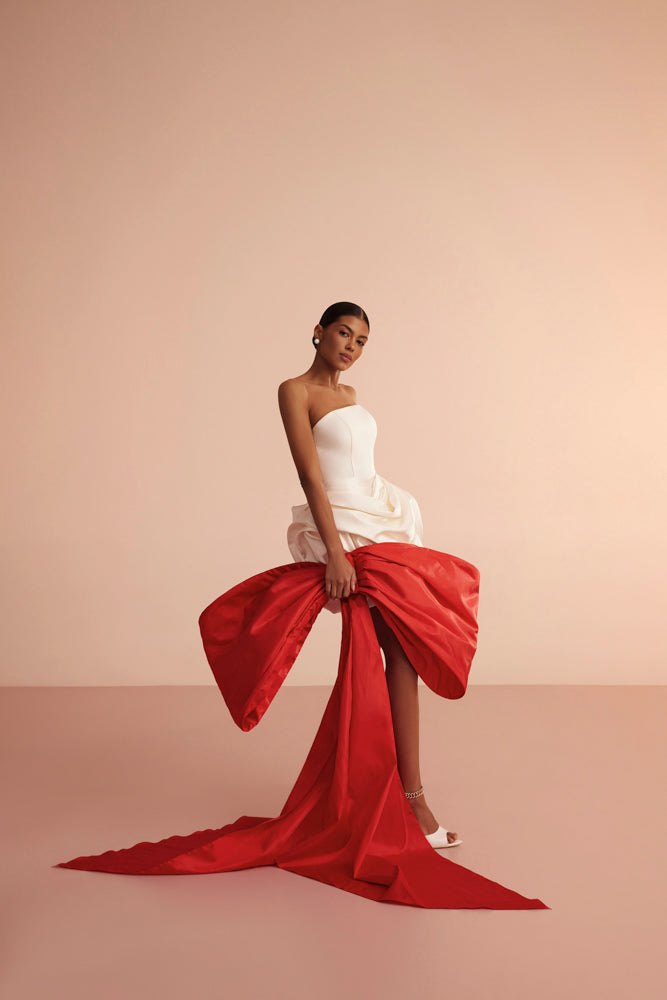 Wedding Gown A-line ARIAMO L407